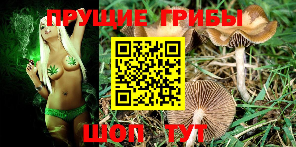 Псилоцибиновые грибы мухоморы Сатка